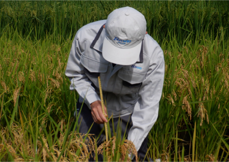 Changing the world tough food