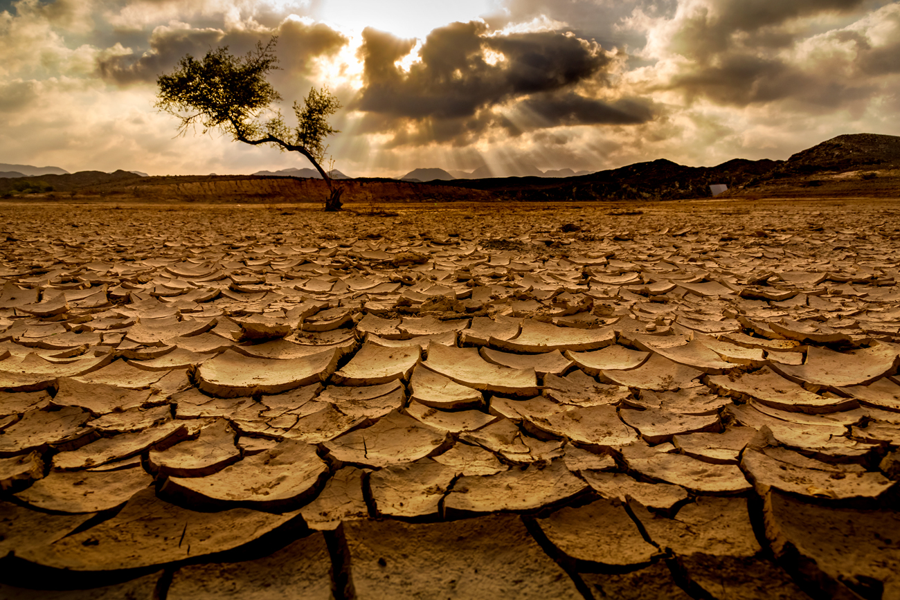人口の10分の1には、十分な食料が無いといわれています。
