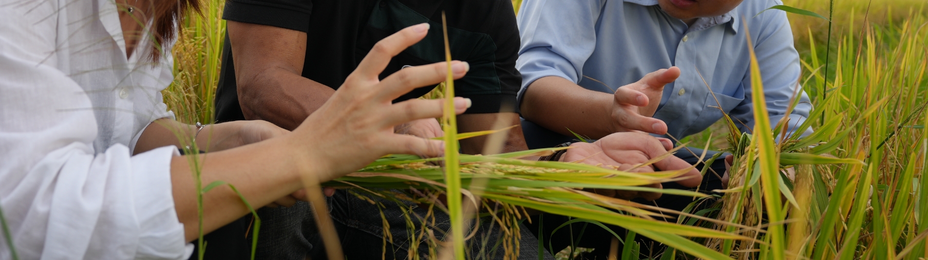 グローバルバイヤーコース